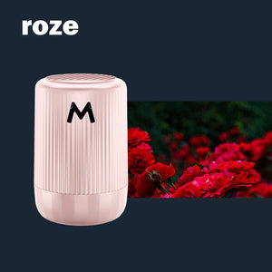 Moleculair ontijzingsinstrument voor voertuigen
