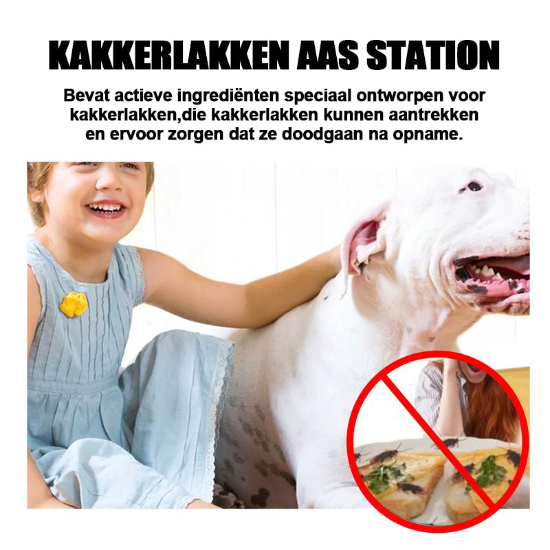 Kakkerlakkenaasstation